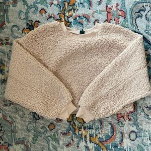 Wildfable crop sweater